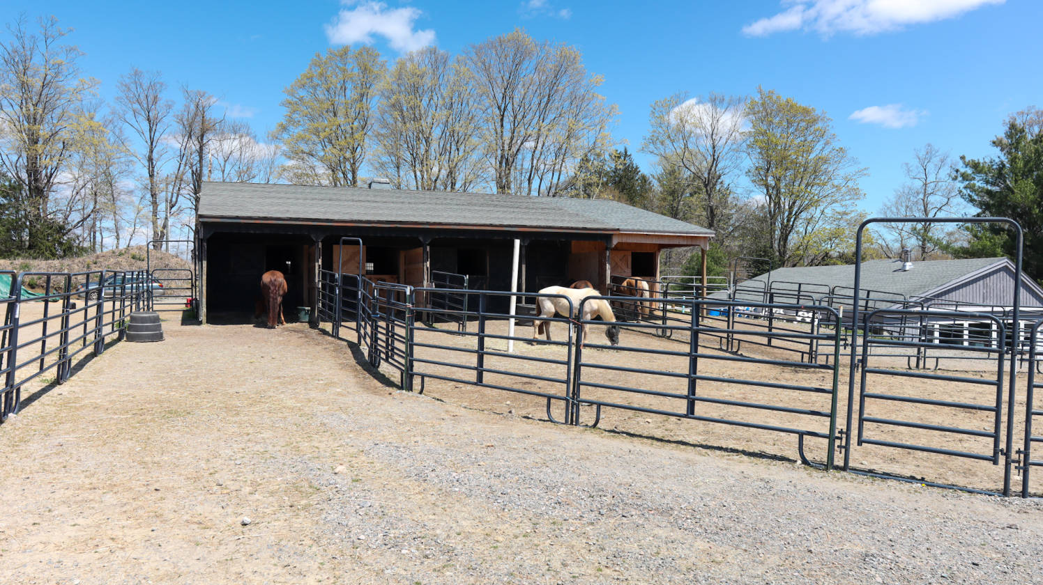 Equestrian Paradise in Litchfield, CT Litchfield, Litchfield County