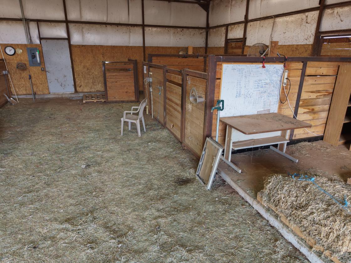 Fabulous, one of a kind horse property - photo 15