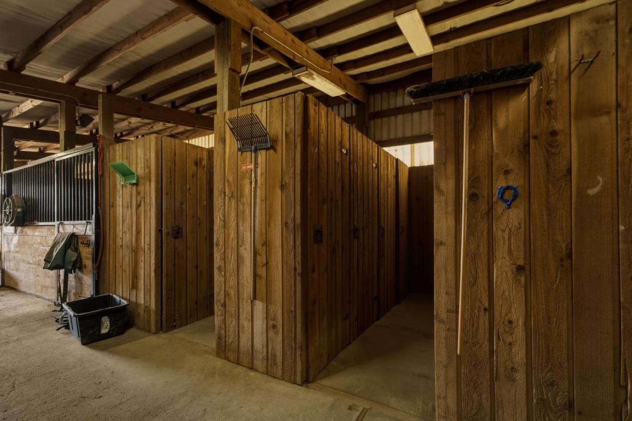 Legacy Boarding Facility w/ 41 Stalls & 2 Arenas - photo 17