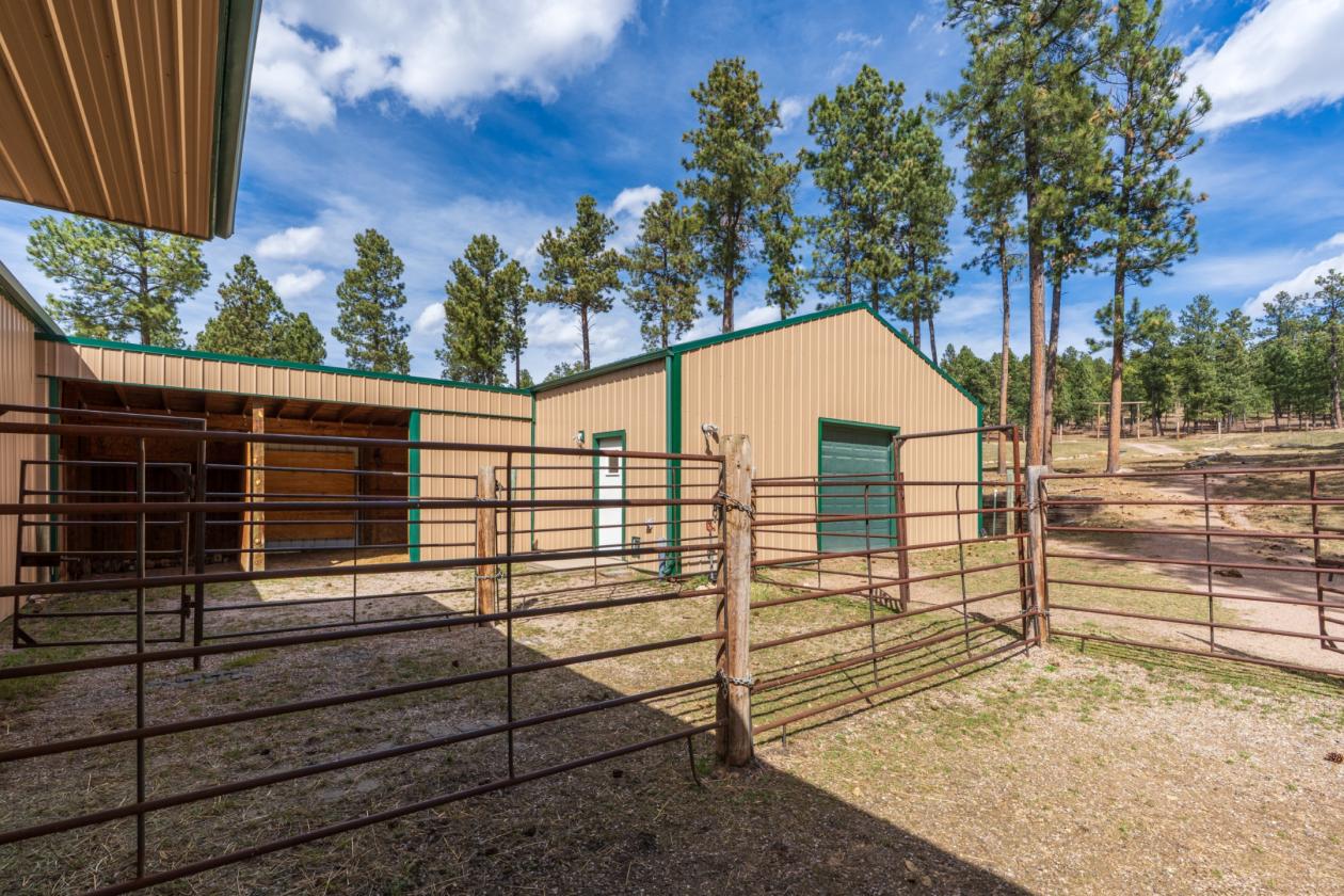 CALLING ALL HORSE LOVERS! - photo 20