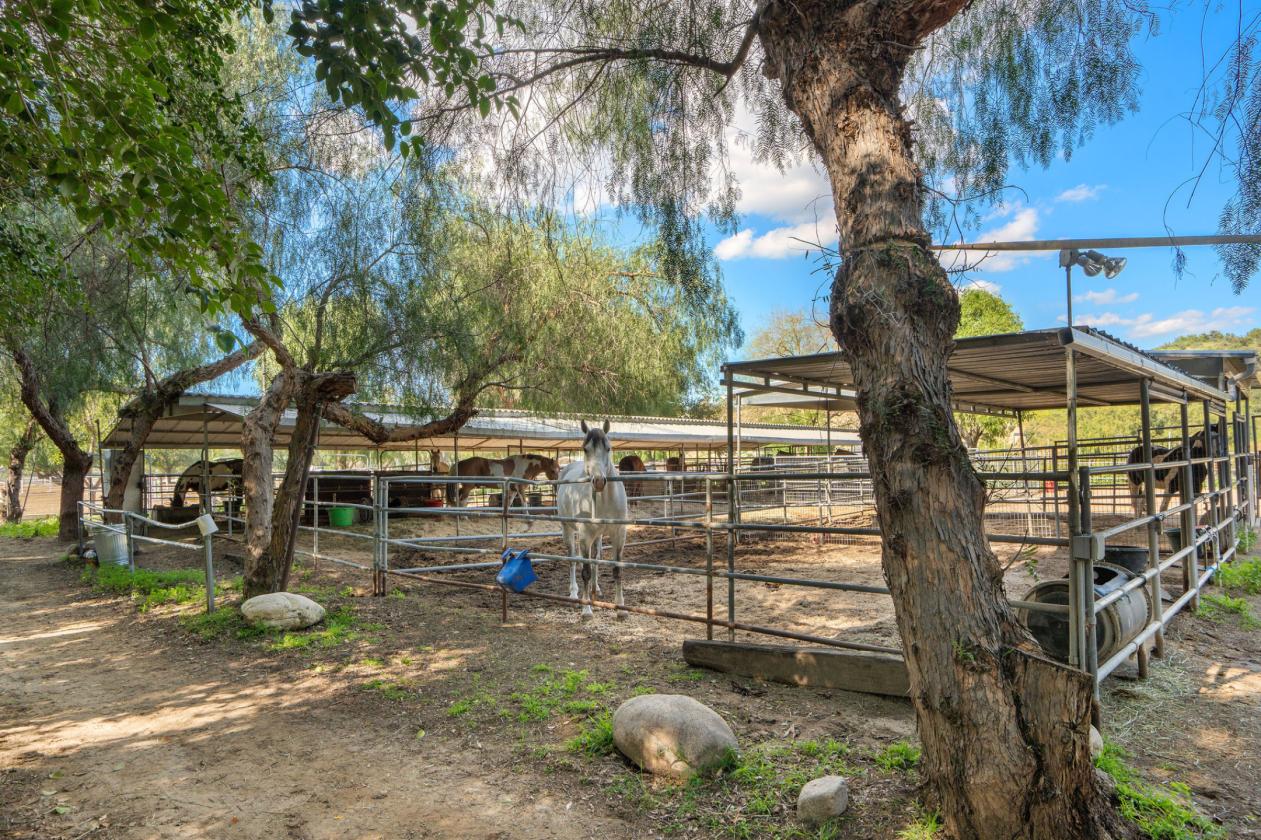 Equestrian & Investment Opportunity in Newhall - photo 14