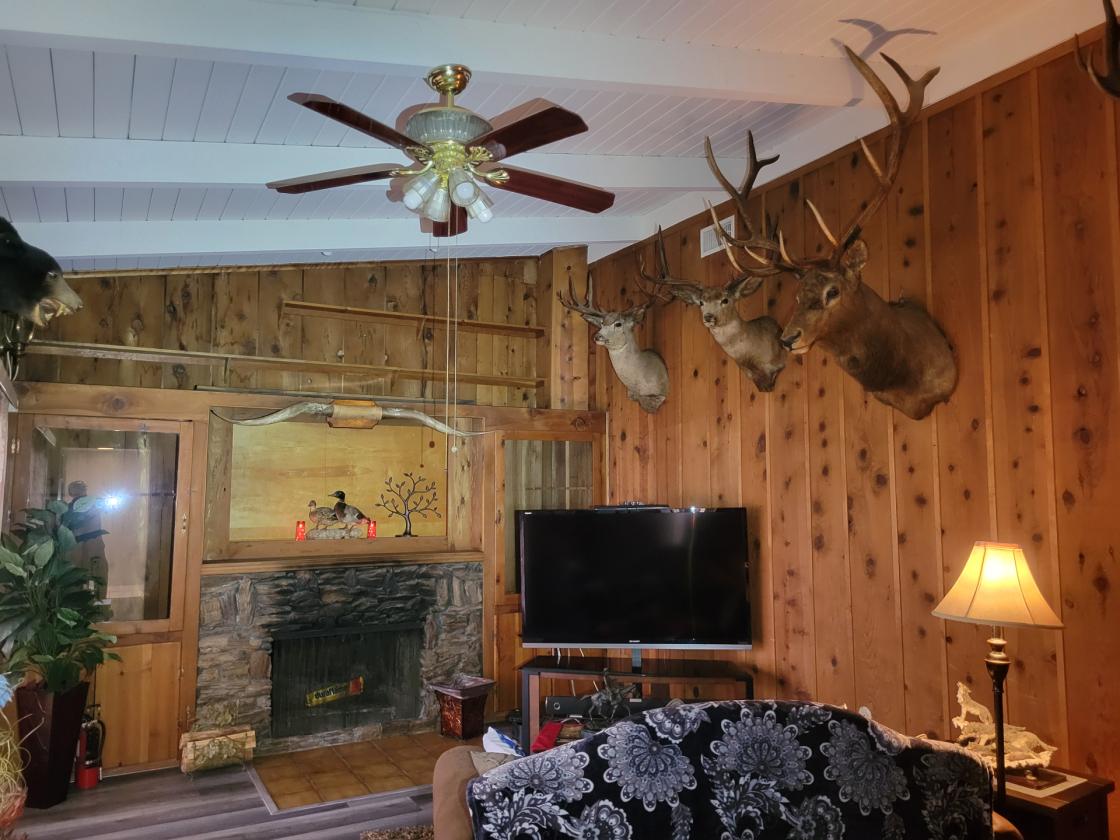 CUSTOM HOME, STABLES+ARENA & RIVER TRAIL ACCESS - photo 15