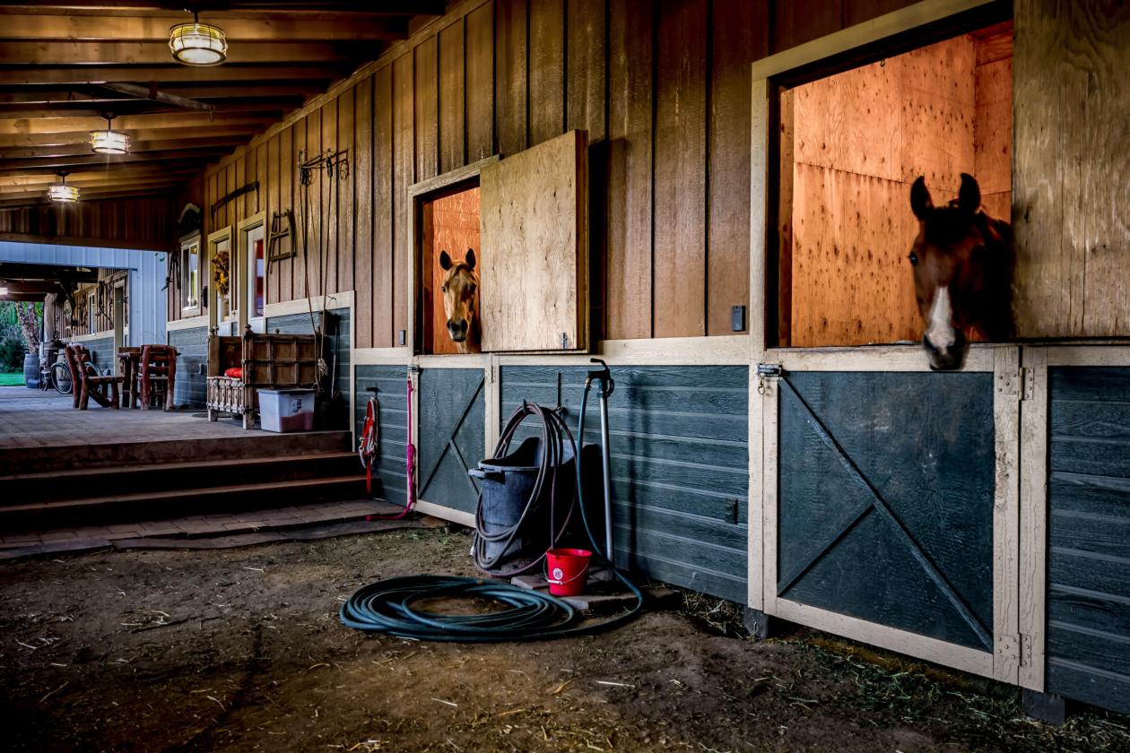 Home, Guest Quarters, Barn, 5 acres, arena & MORE! - photo 11