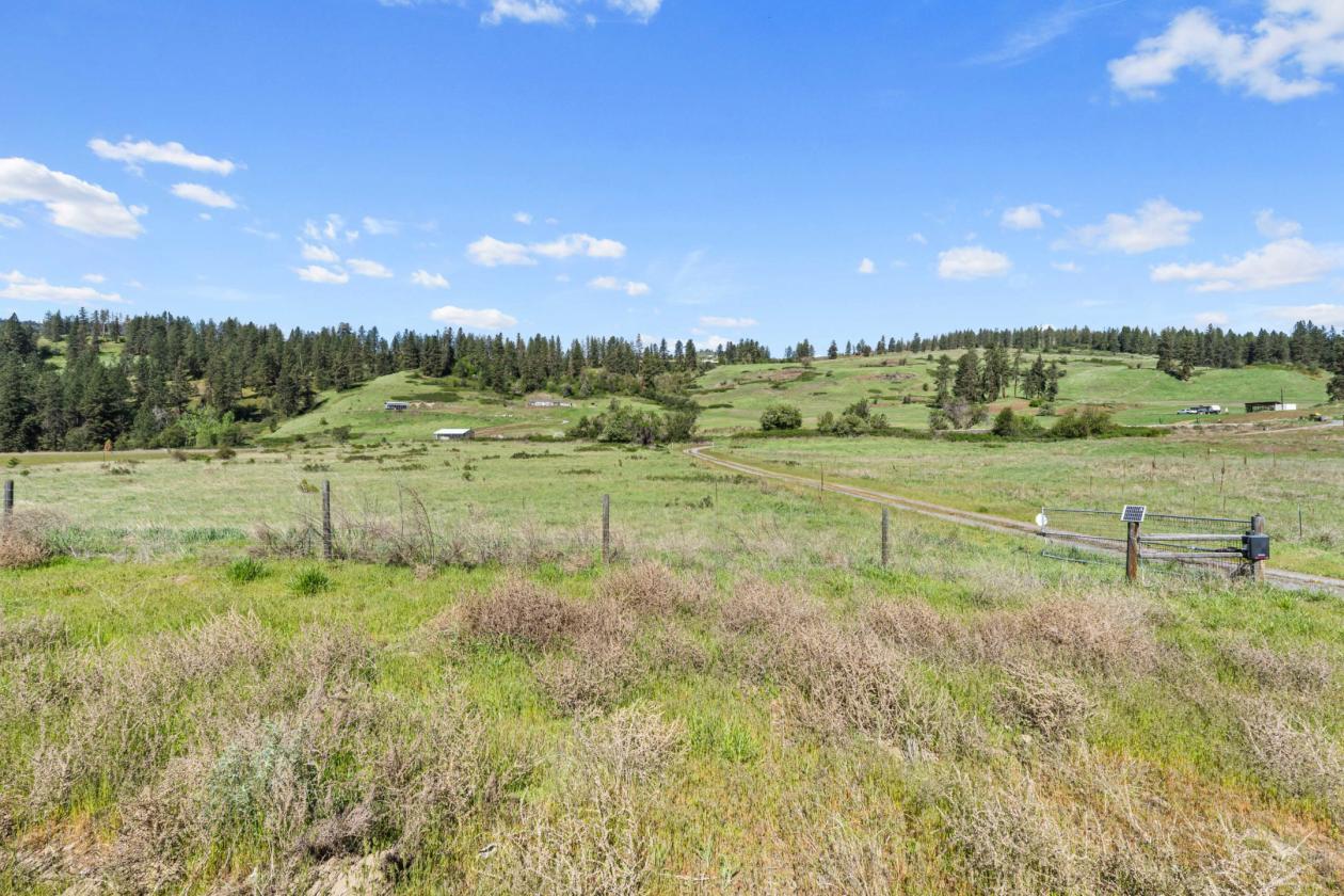 5.59 acres w/pasture on Lake Roosevelt - photo 16