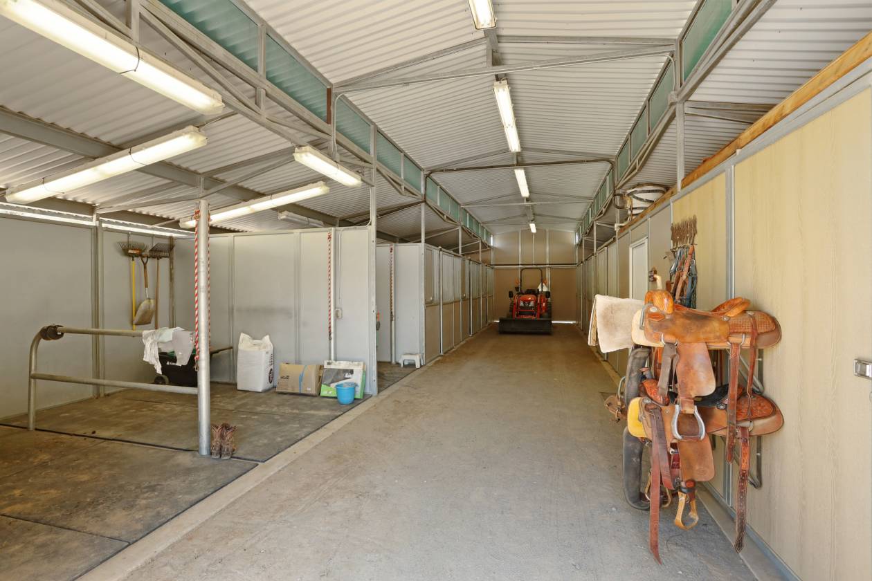 Estate with 7 pastures, 2 homes, lake, Vineyard - photo 6