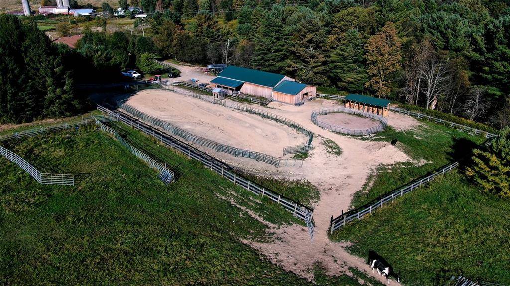 Horse Prop.: Ranch(Handicap) cabin, 55 ac. - photo 3