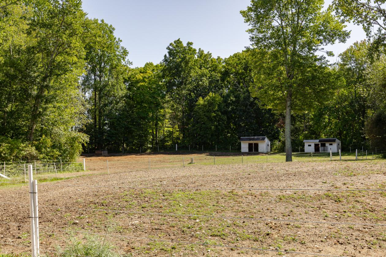 Impeccably kept horse property w/central location - photo 29