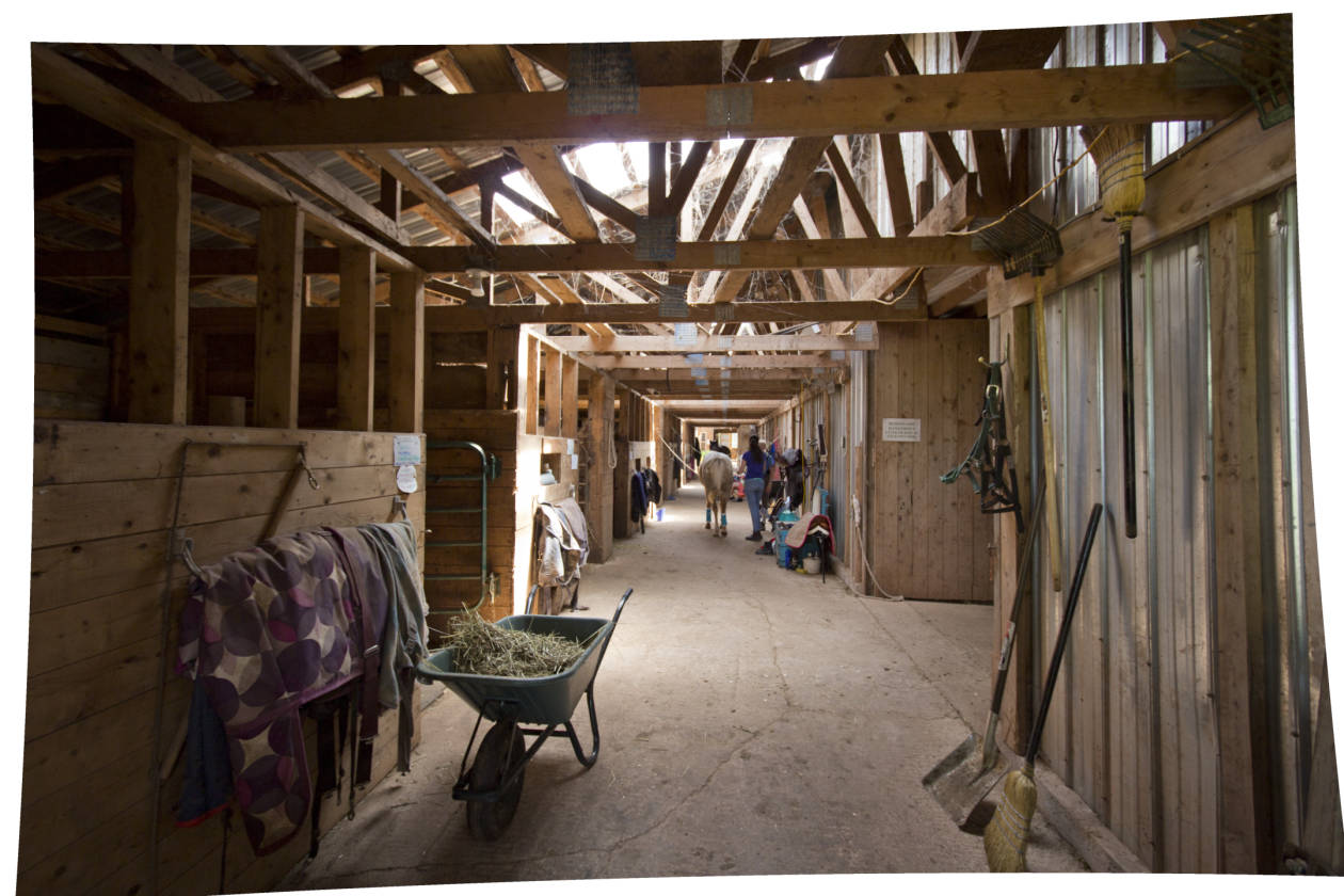ESTABLISHED EQUESTRIAN STABLE Port Howe, Cumberland County, Nova