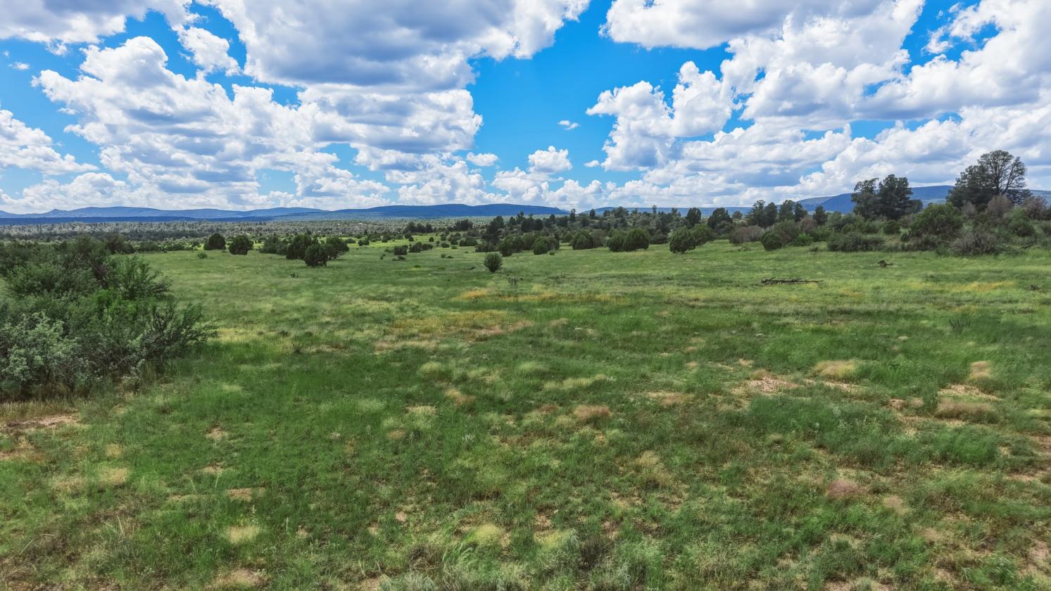 200 Acres in Yavapai County - photo 5