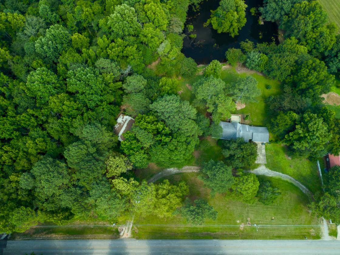 15-Acre Farmstead with guest house and pond - photo 10