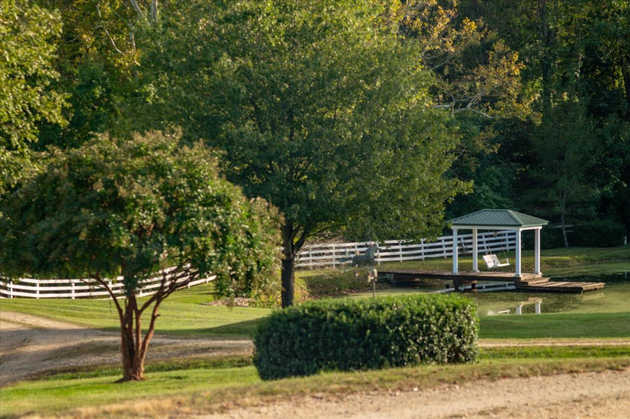 Estate with horses and golf on site - photo 25