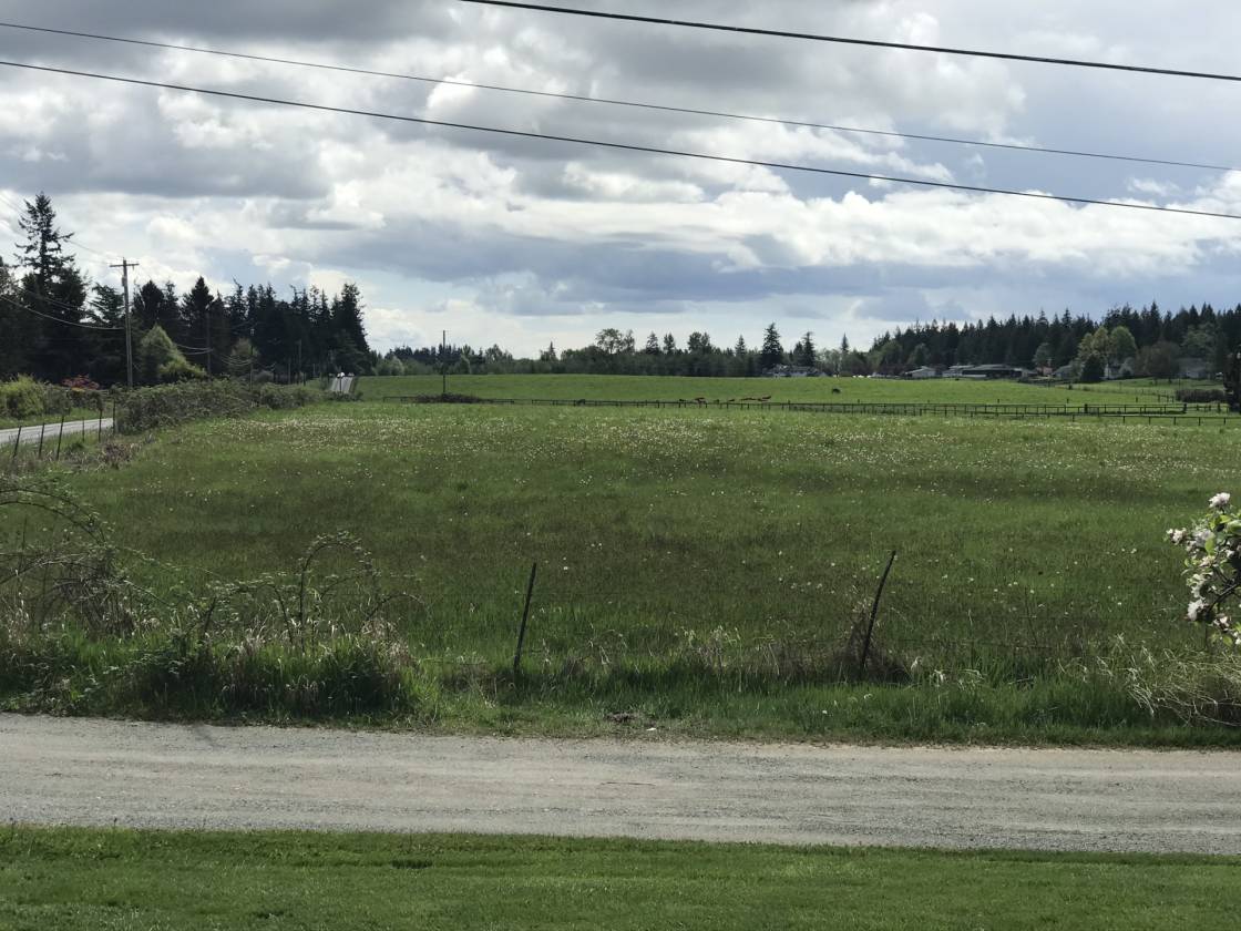 Shanghri La 12.6 Acre Horse Property One Hour Drive North... Stanwood