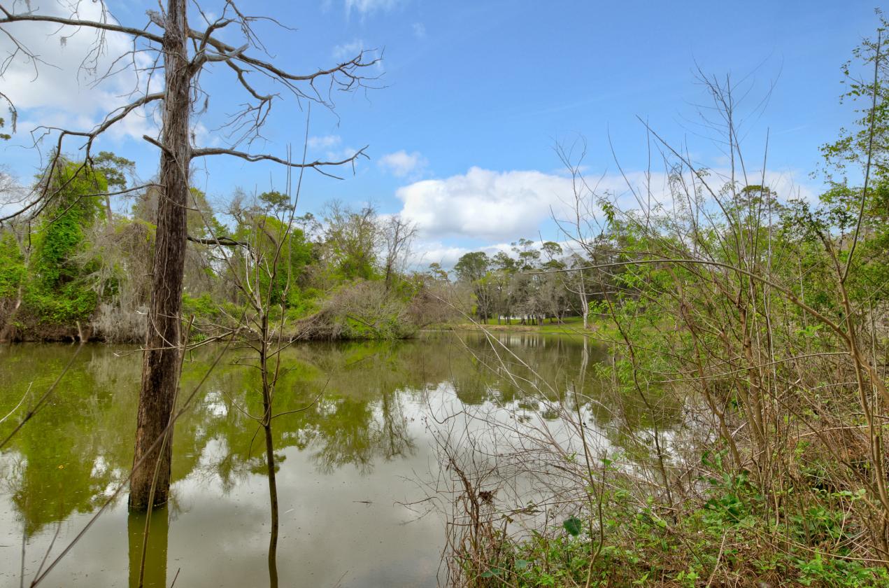 5-Acre Equestrian Estate with Barn & Pool - photo 10