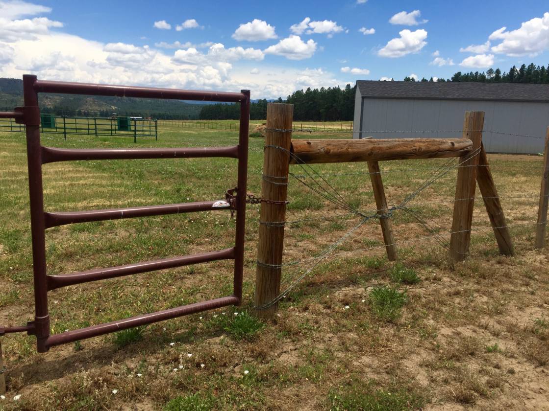 35 Acres Beautiful Horse Property with Custom Luxury Home Bayfield