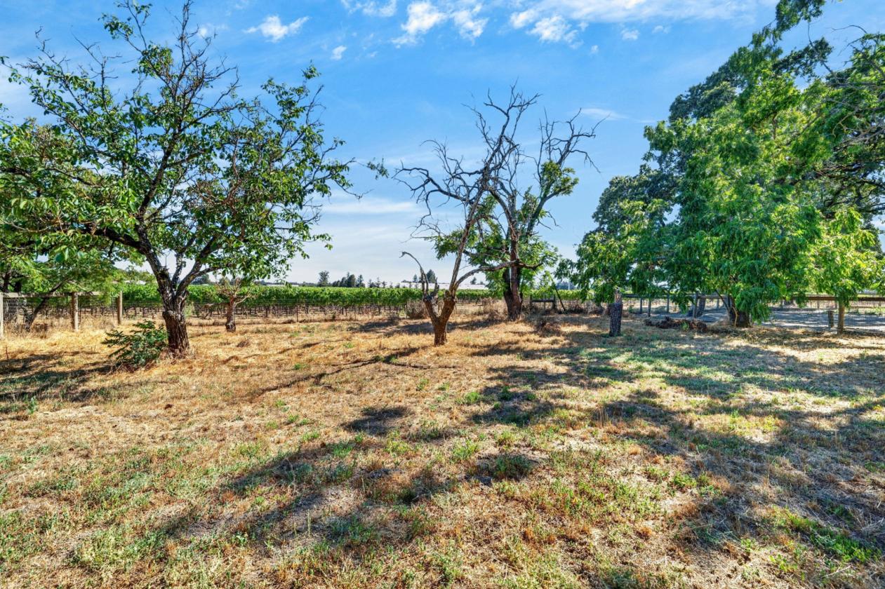 Horse property for sale with an ADU - photo 24