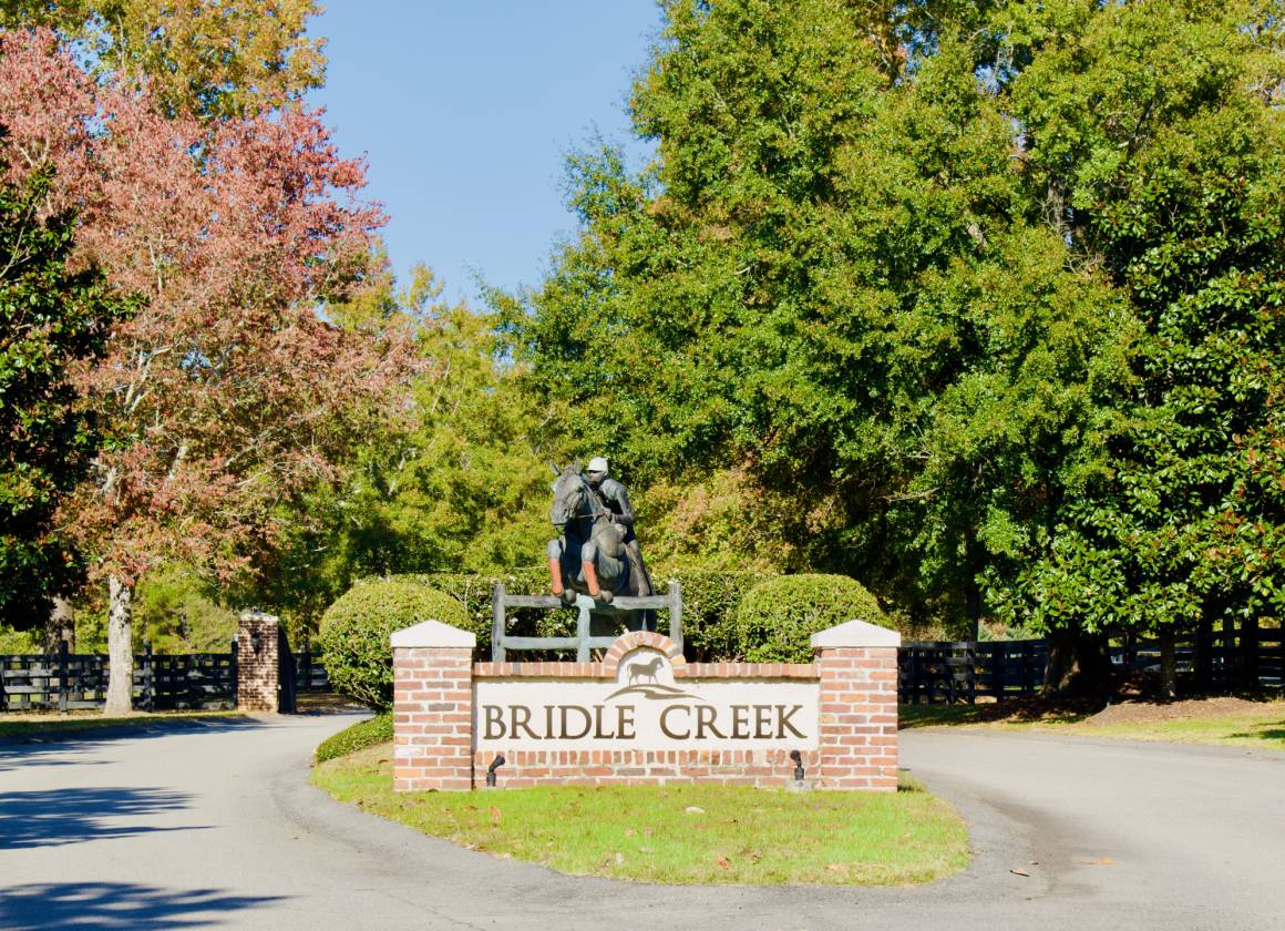 An Equestrian retreat in the heart of Bridle Creek - photo 24