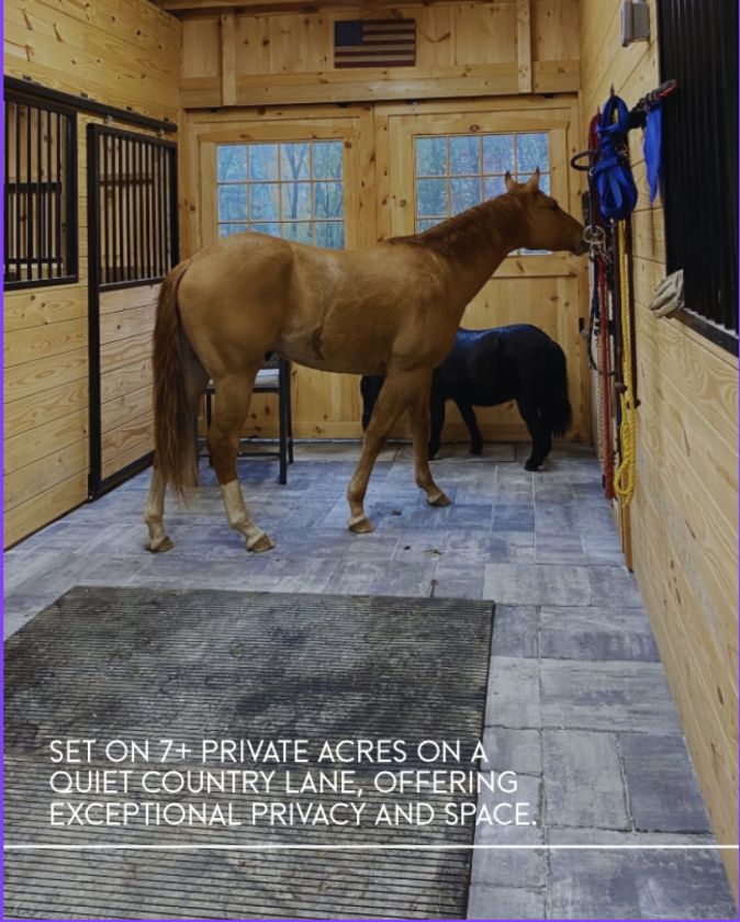 Private Horse Farm - photo 4