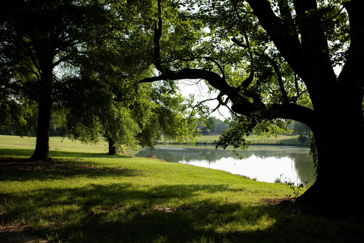 Horse Country Heaven - 10.38 Acres - photo 4
