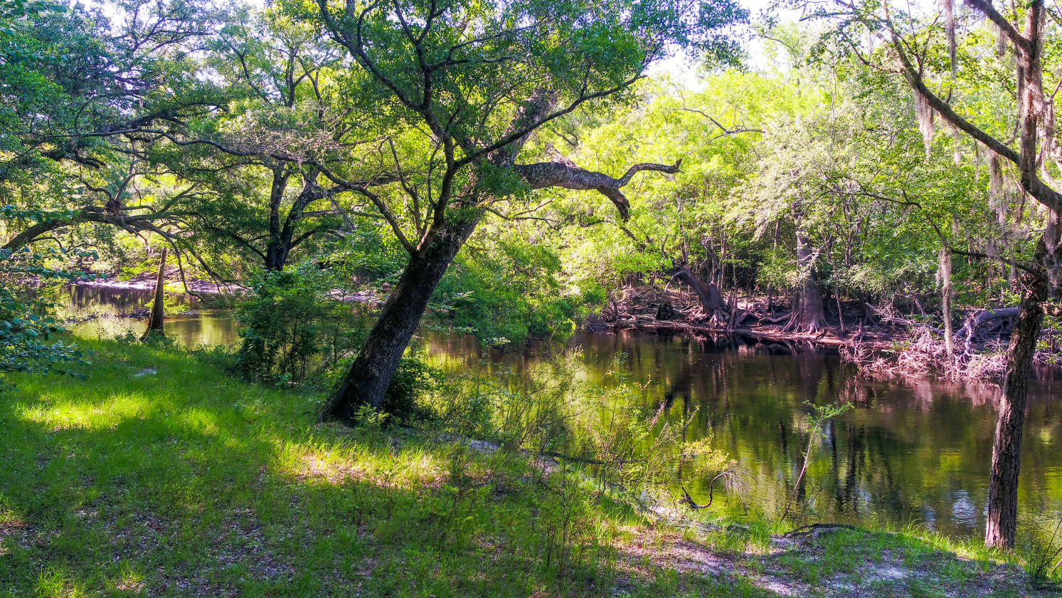 Spectacular Views! 174 Acres for Sale In Hilliard, FL! Trail