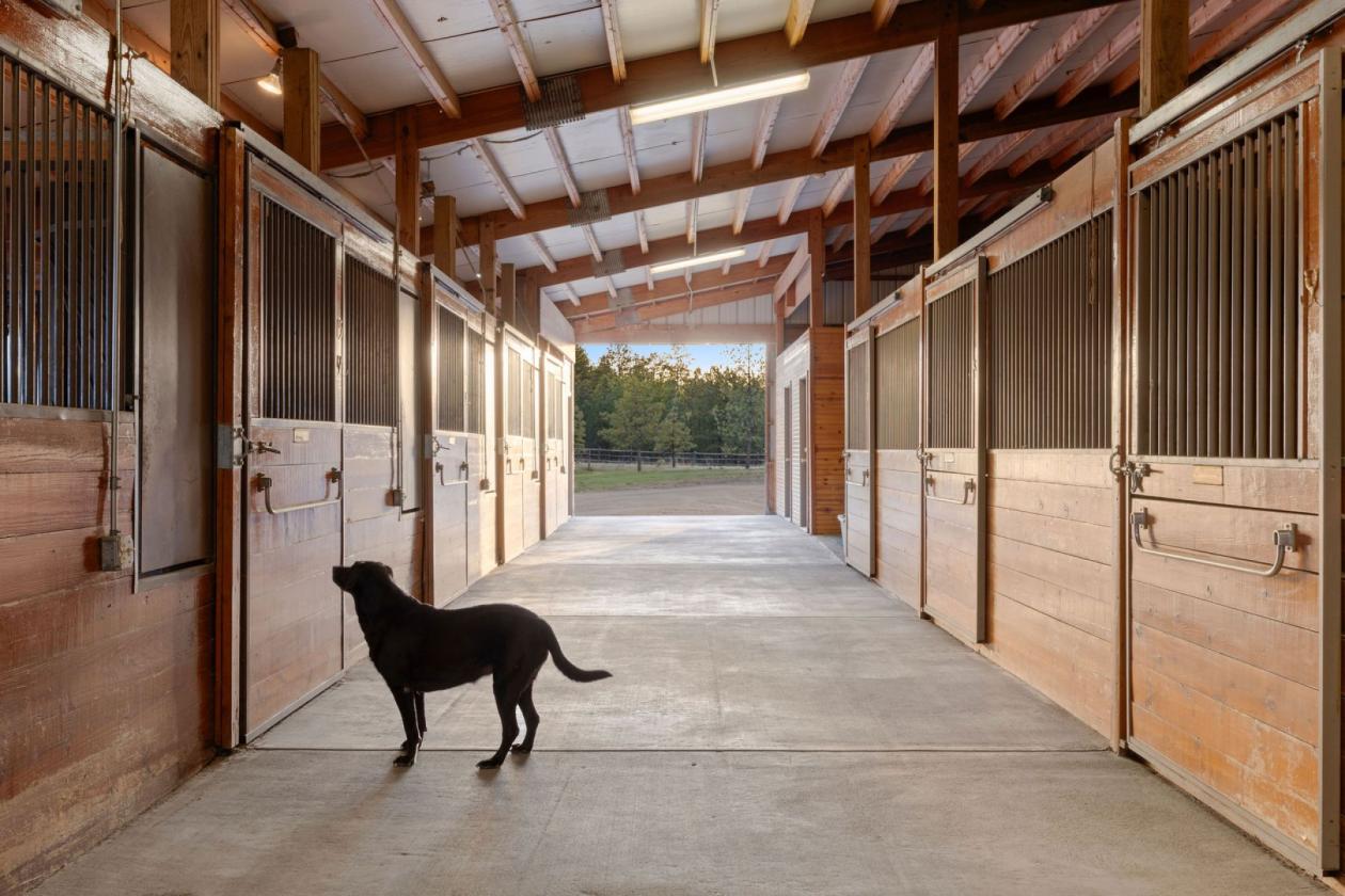 40 Acre World-Class Equestrian Estate - photo 7