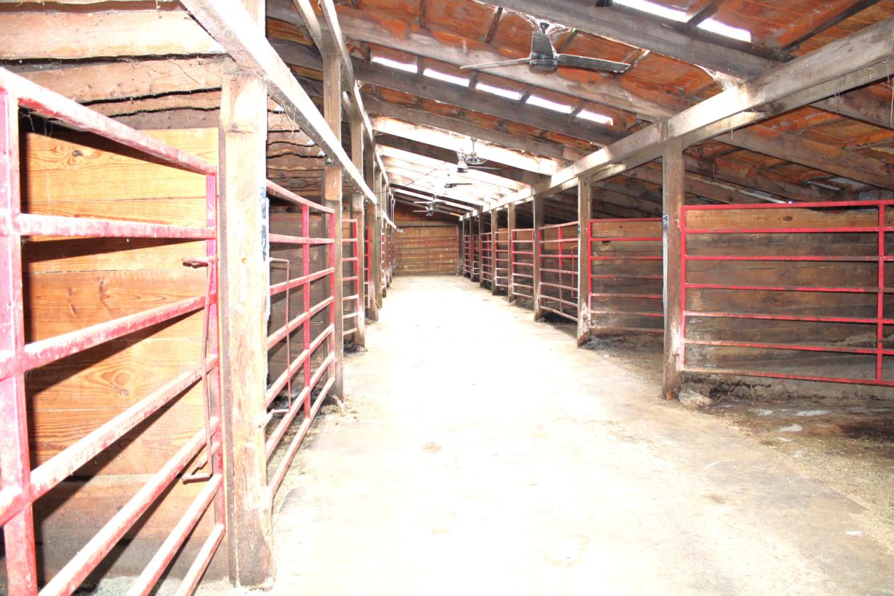 Central Indiana Horse Training & Boarding Facility - photo 21