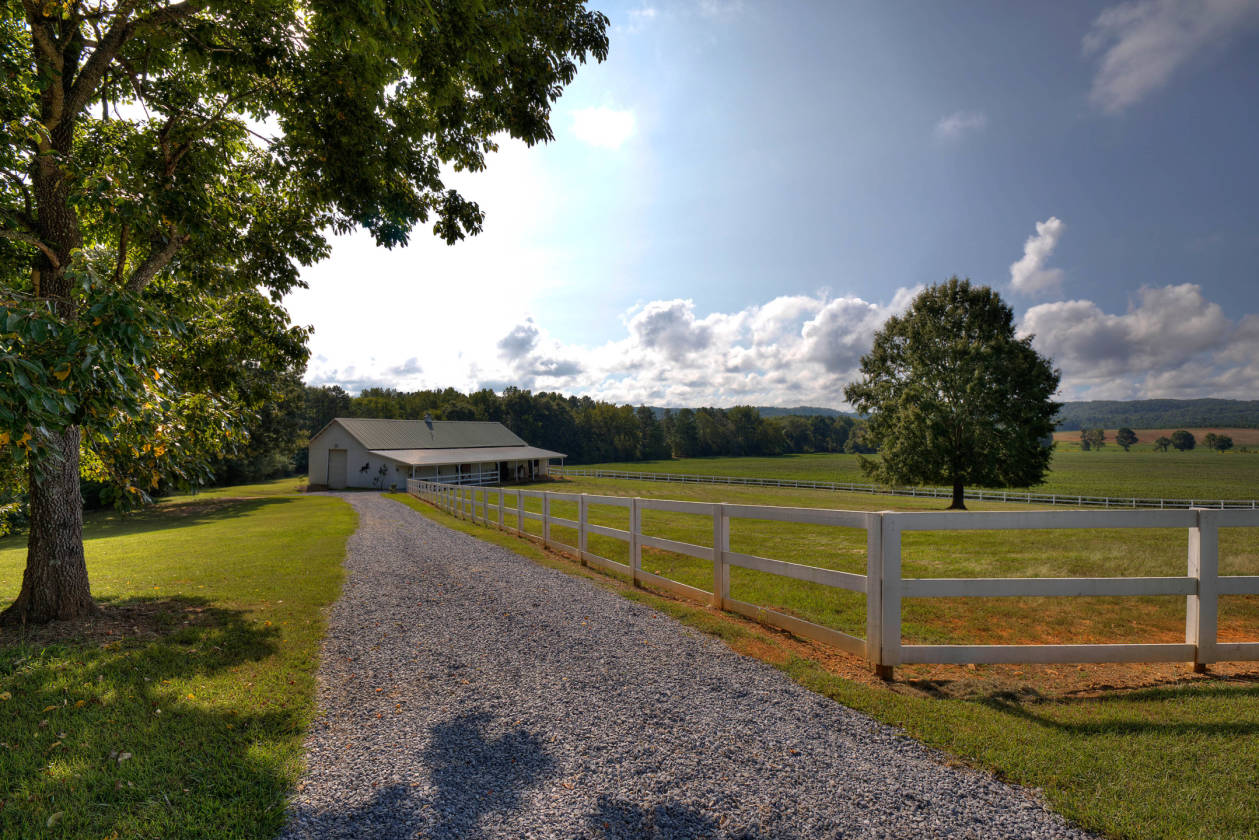 to Hill Farm!!! Home to World Champion Tennessee