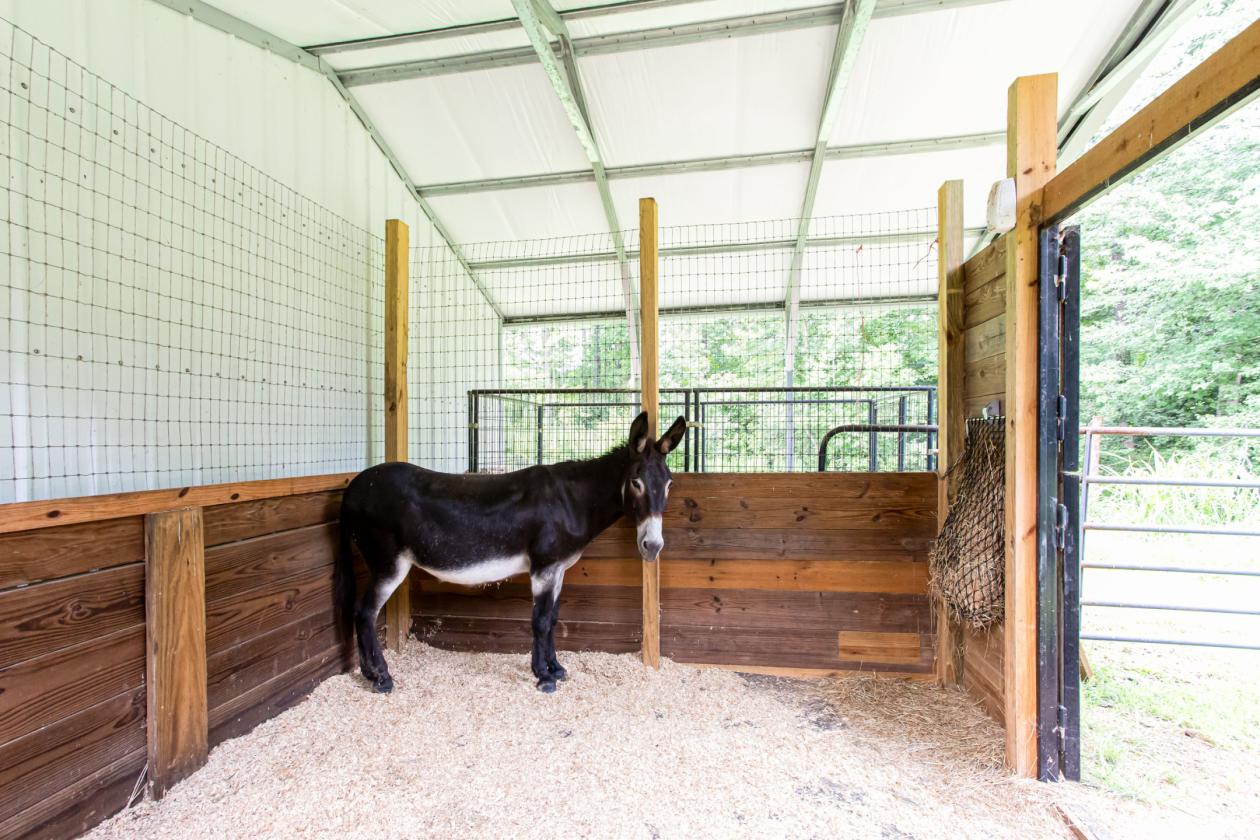 Turnkey Equestrian Property on 11+ Acres - photo 21