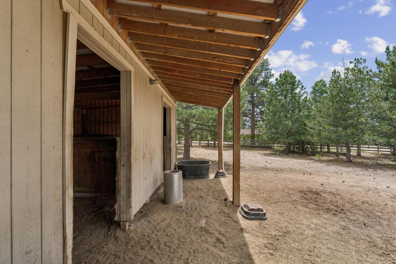 Equestrian Estate with Barn in Franktown, CO - photo 30