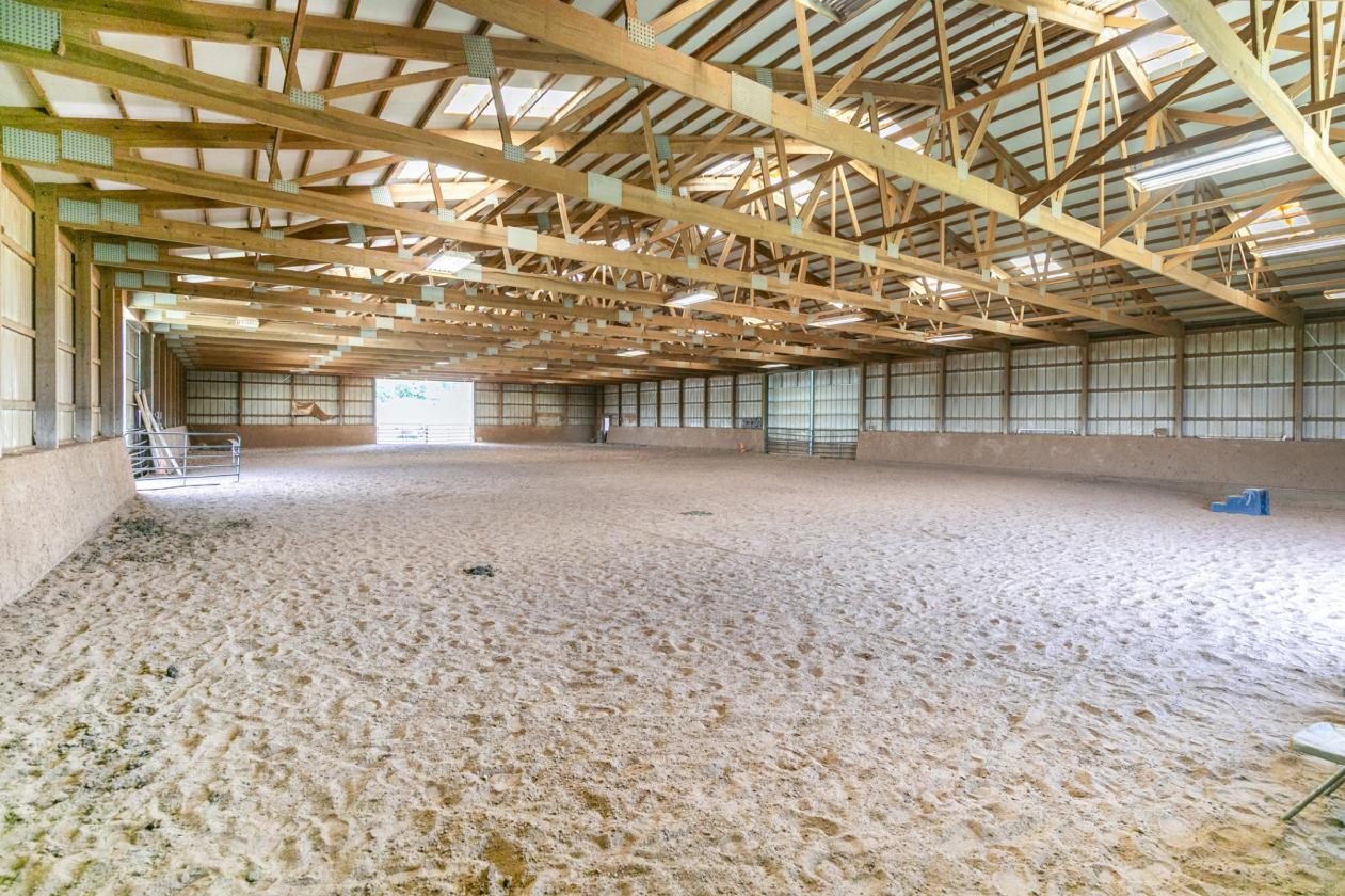 Professional Boarding/Training Facility - photo 15