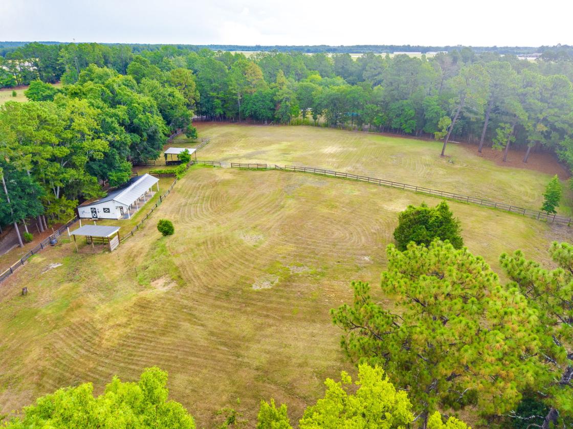 Welcome to Fox Path Farm - photo 21