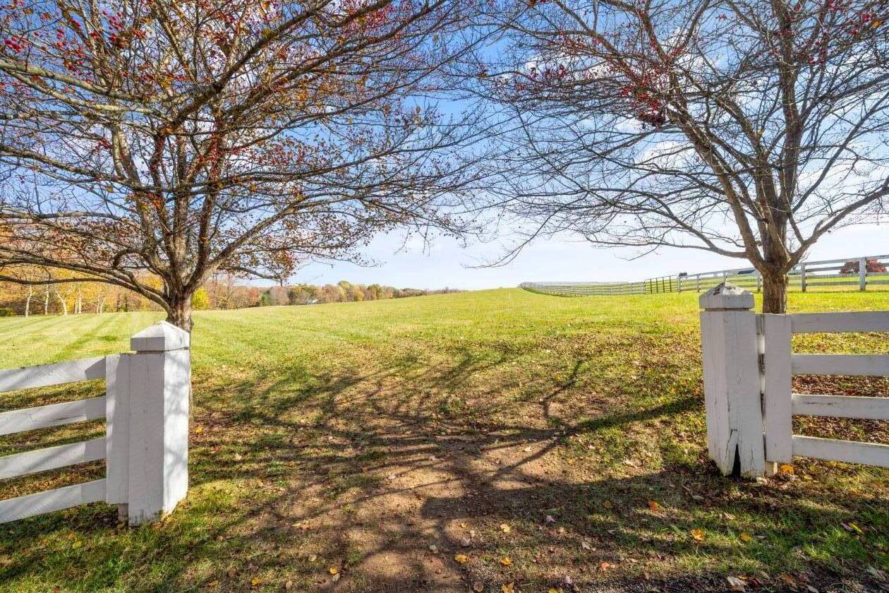 Fox Hunt Country Estate | 25 Acres - photo 8
