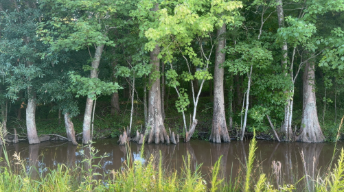 Property image.