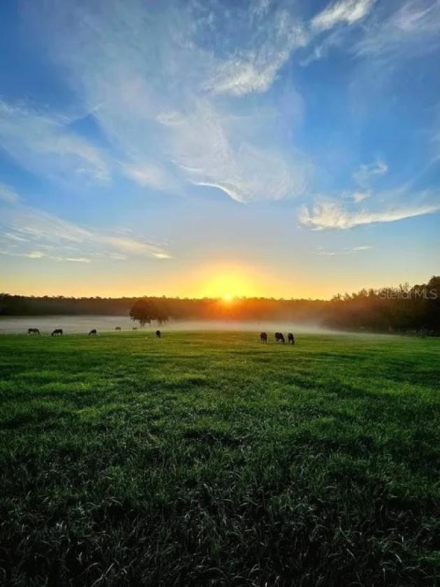 11 Acres Ready to Build Dream Farm 15 mins to WEC - photo 9
