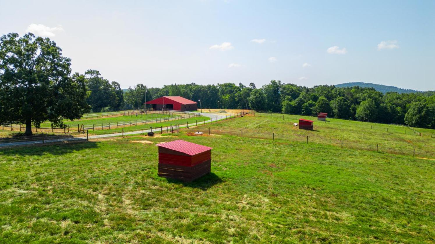 Where Equestrian Dreams Meet Reality - photo 7