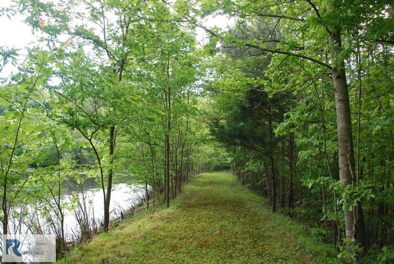 Blue Bird Hill - Turnkey Endless Possibilities - photo 8