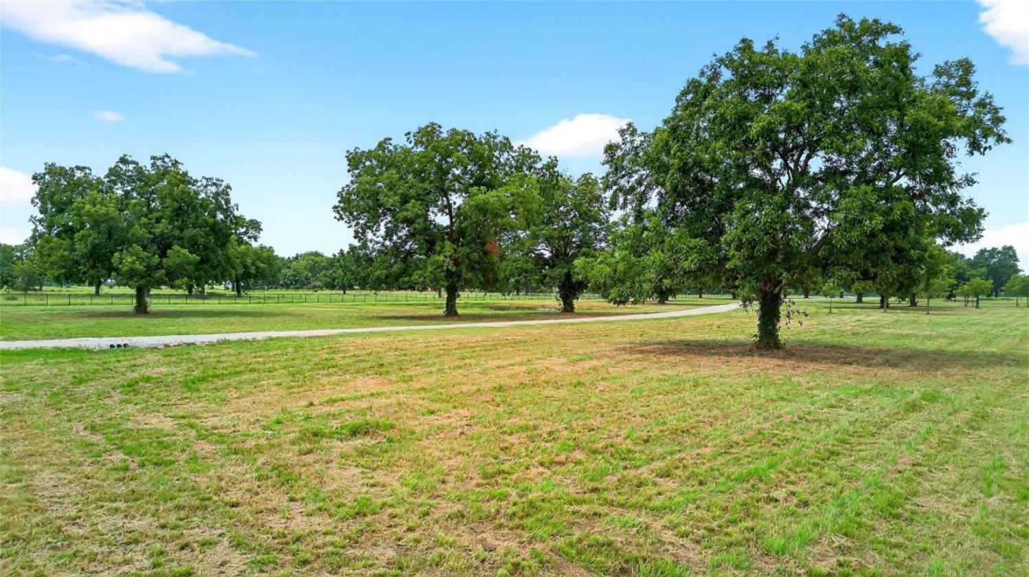 11 Acres of Pecan Trees - photo 11