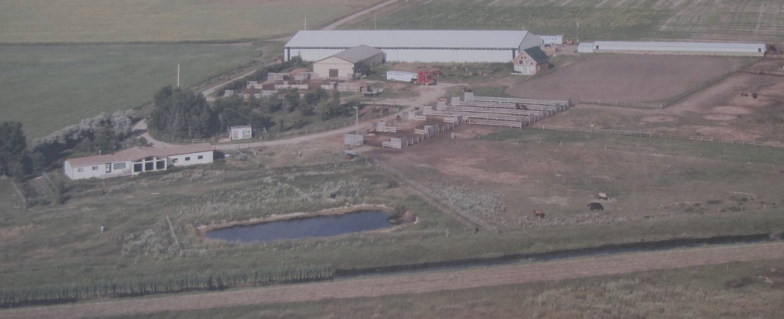 Horse Property for sale.