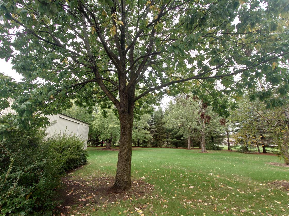 10 Acres & Home 20 min NW of Maple Grove in Otsego - photo 30