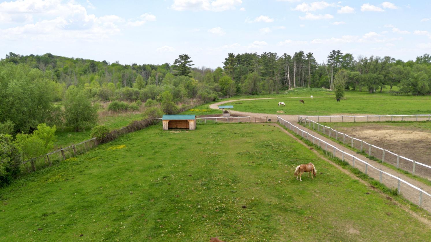 Equine training facility in the Capital District - photo 7