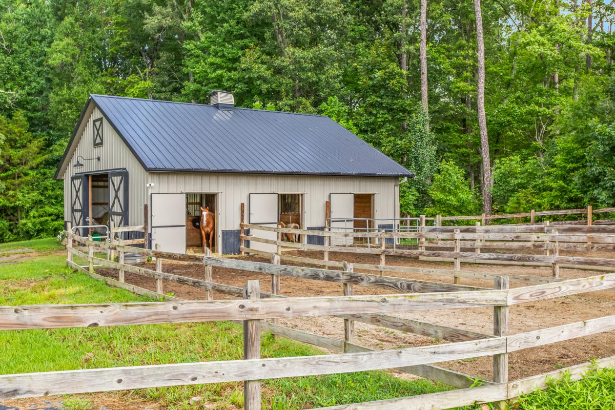Beautiful mini-farm on 8.46+/- private acres - photo 11