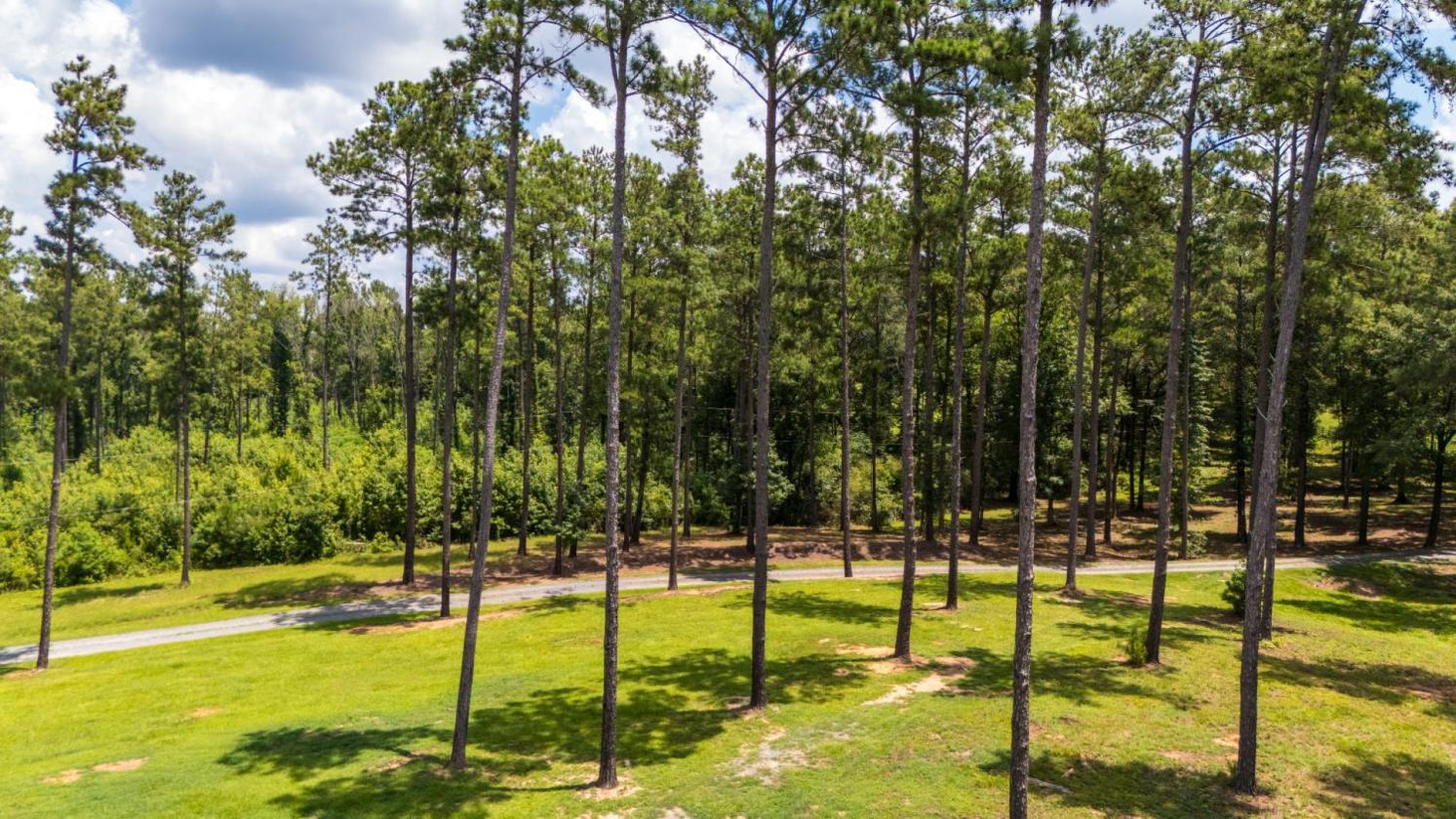 Equestrian Farm with 2 homes and stocked pond - photo 25