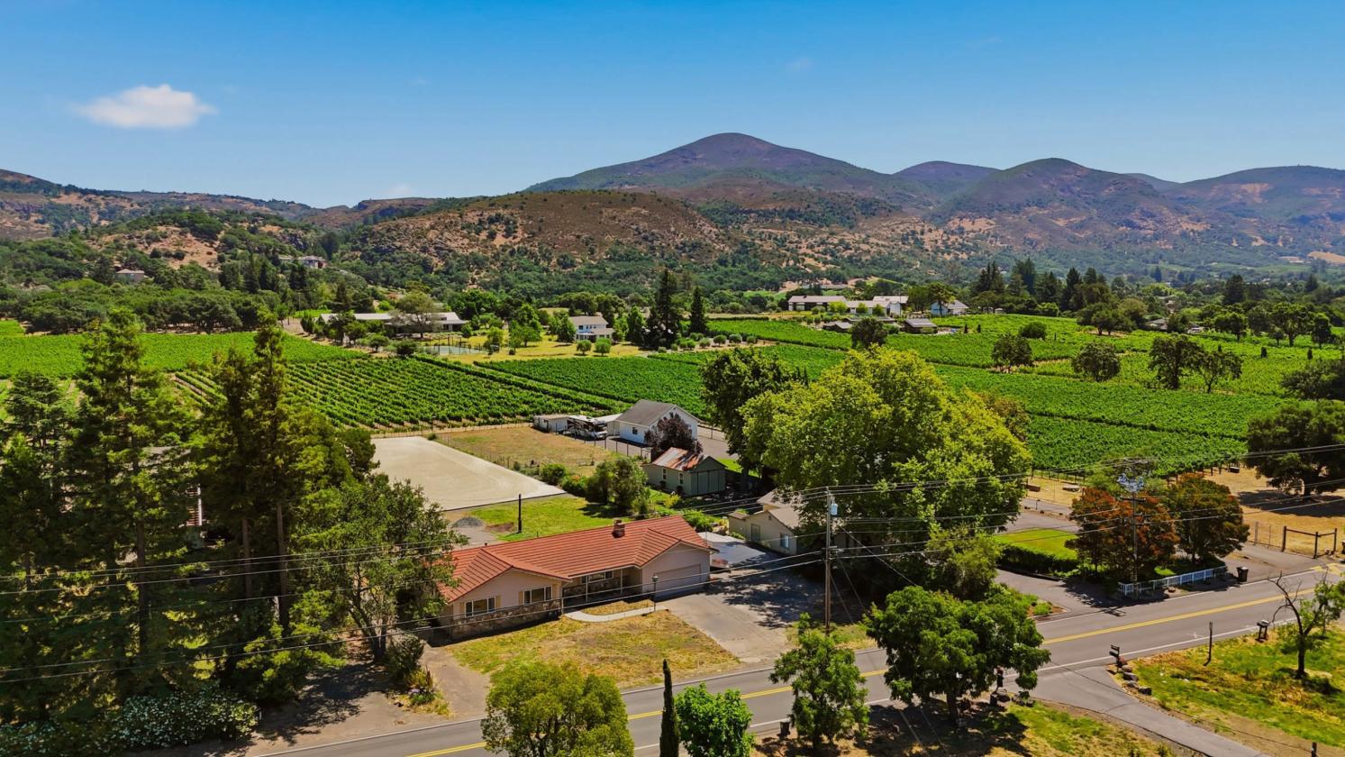 Rare Horse Property with Vineyard Views! - photo 1