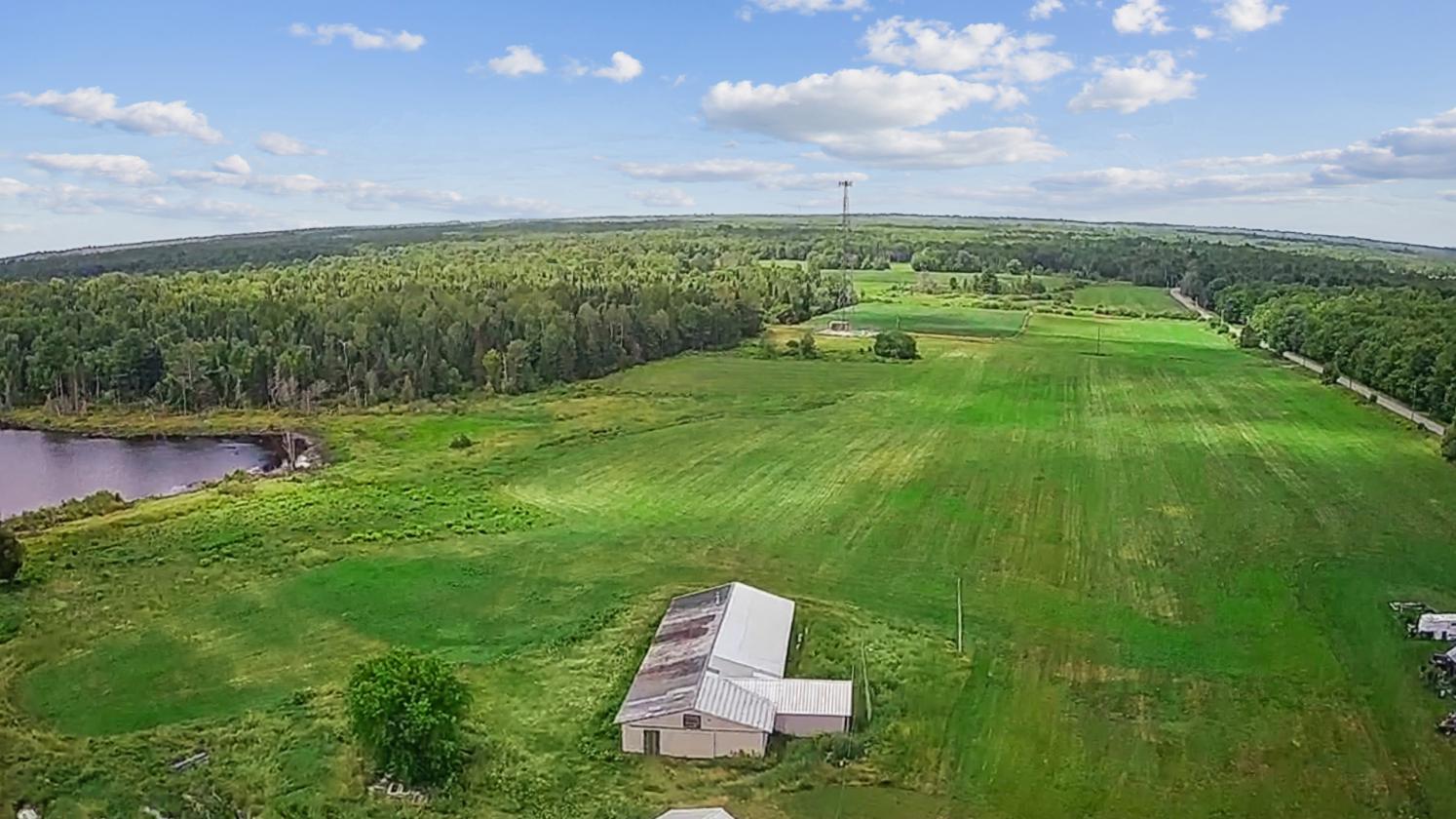 103 acres in rural Maine - photo 20