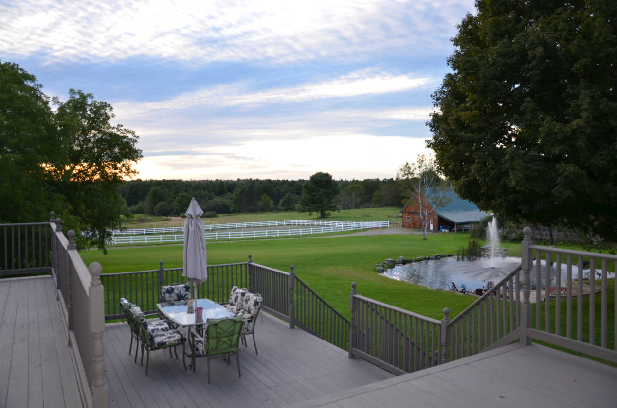 Horse Property for sale.