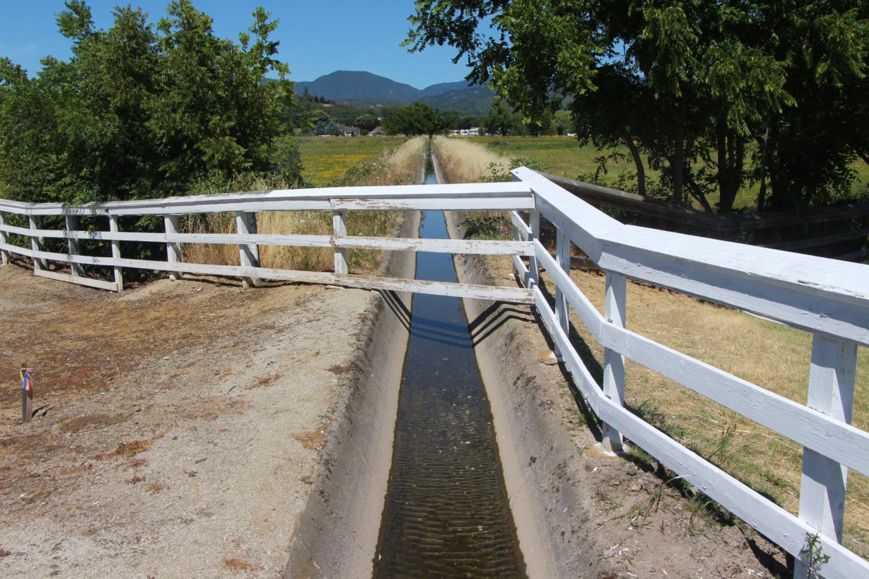 Roguemere Ranch River Equine Elegance - photo 25