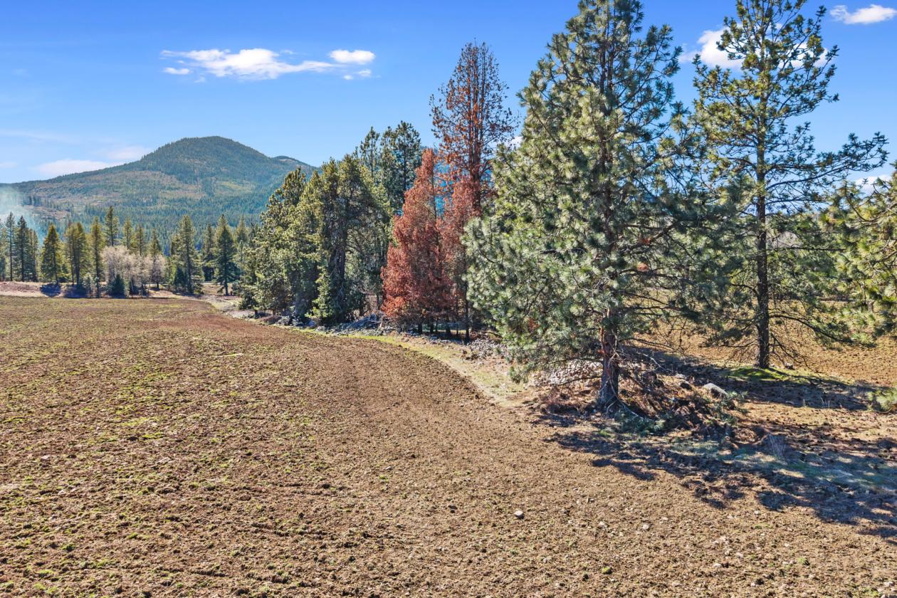 Gorgeous 63 Acres - photo 4