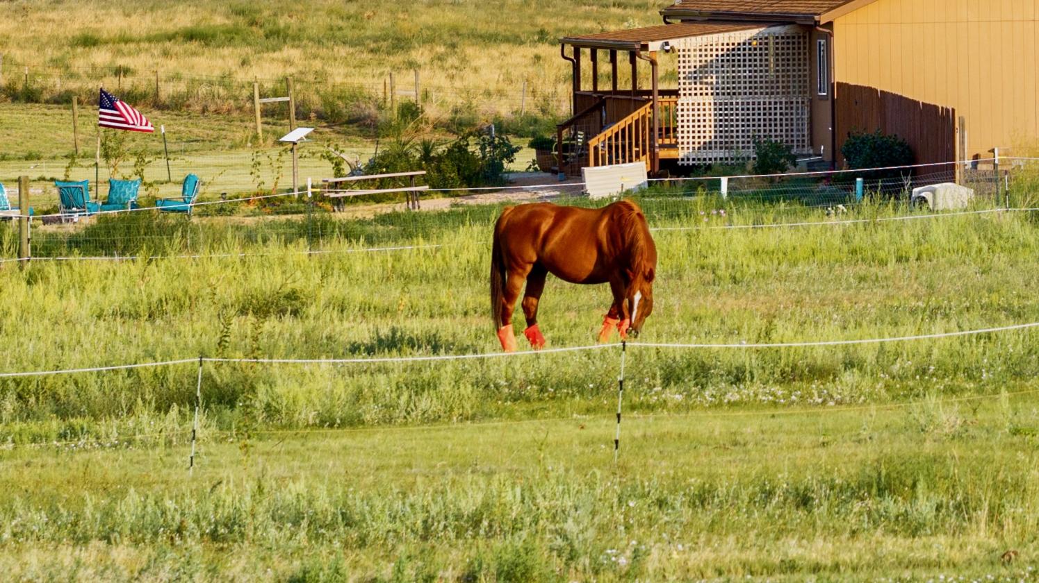 On 15 acres, a beautiful country life awaits - photo 10