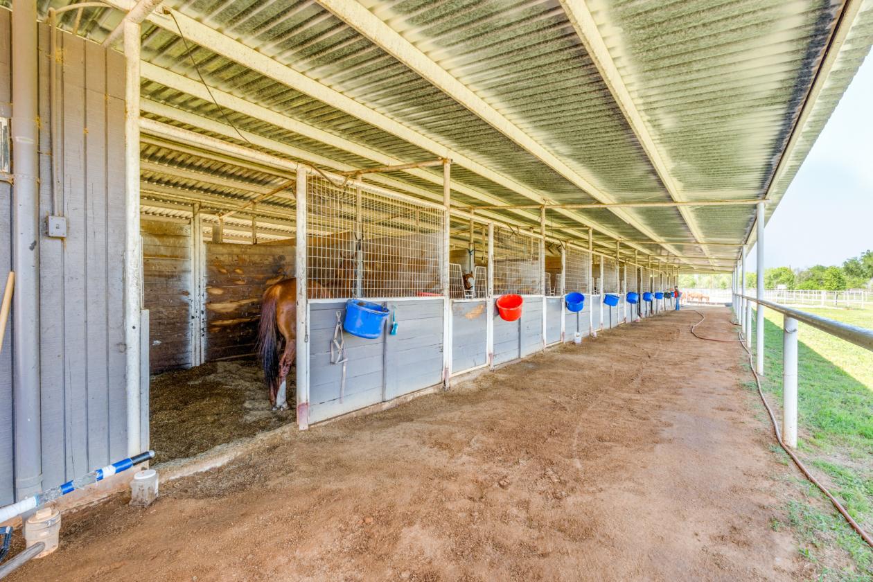Horse Ranch - photo 7