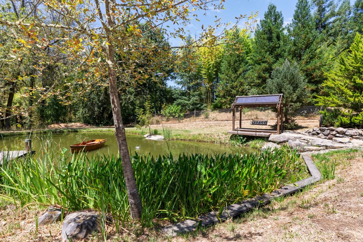 Gorgeous Equestrian Property in Sonoma County! - photo 17
