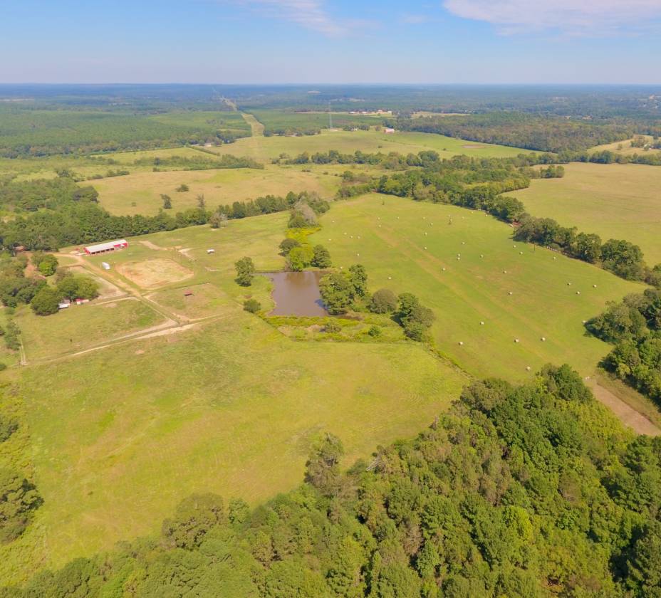 48.96 acre Horse Farm in Nacogdoches County | Nacogdoches, Nacogdoches ...